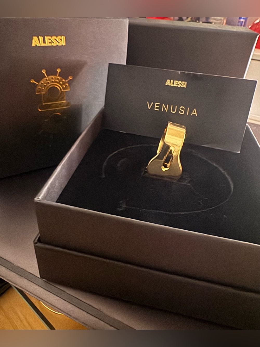 Alessi, Gold Metal Ring Design by Elena Salmistraro, Trama